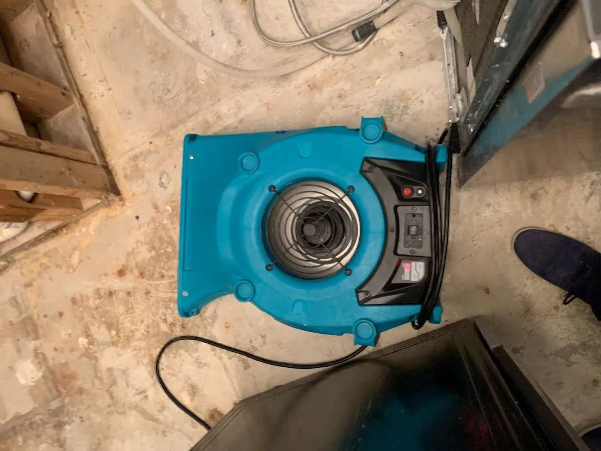Air mover drying equipment for Mold Remediation & Removal in Lake City